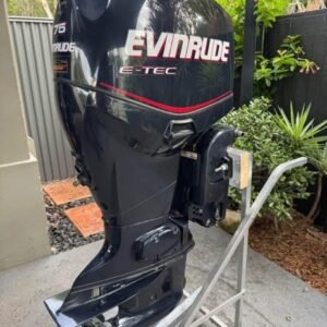 2004 Evinrude Etec