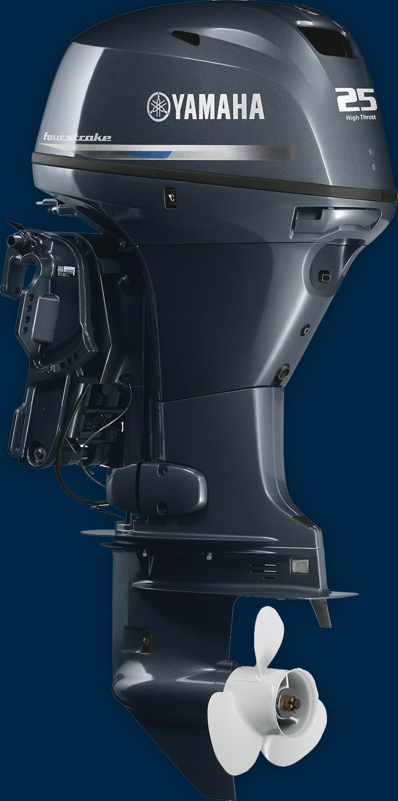 2019 Yamaha T25 - 20" Shaft