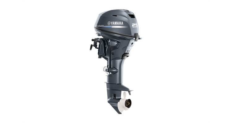2019 Yamaha T25 - 20" Shaft