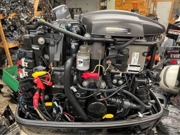 2020 Mercury 115 HP EFI 4 Stroke 25'' Shaft - Alpha Marine Outboards
