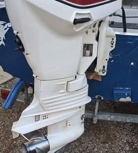 Evinrude Etec 50hp 2014